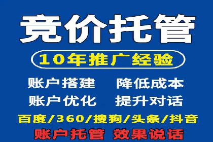 不同平台下的关键词竞价排名策略比较与案例分析